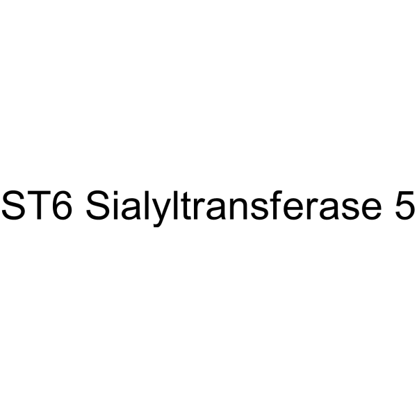 ST6 Sialyltransferase 5